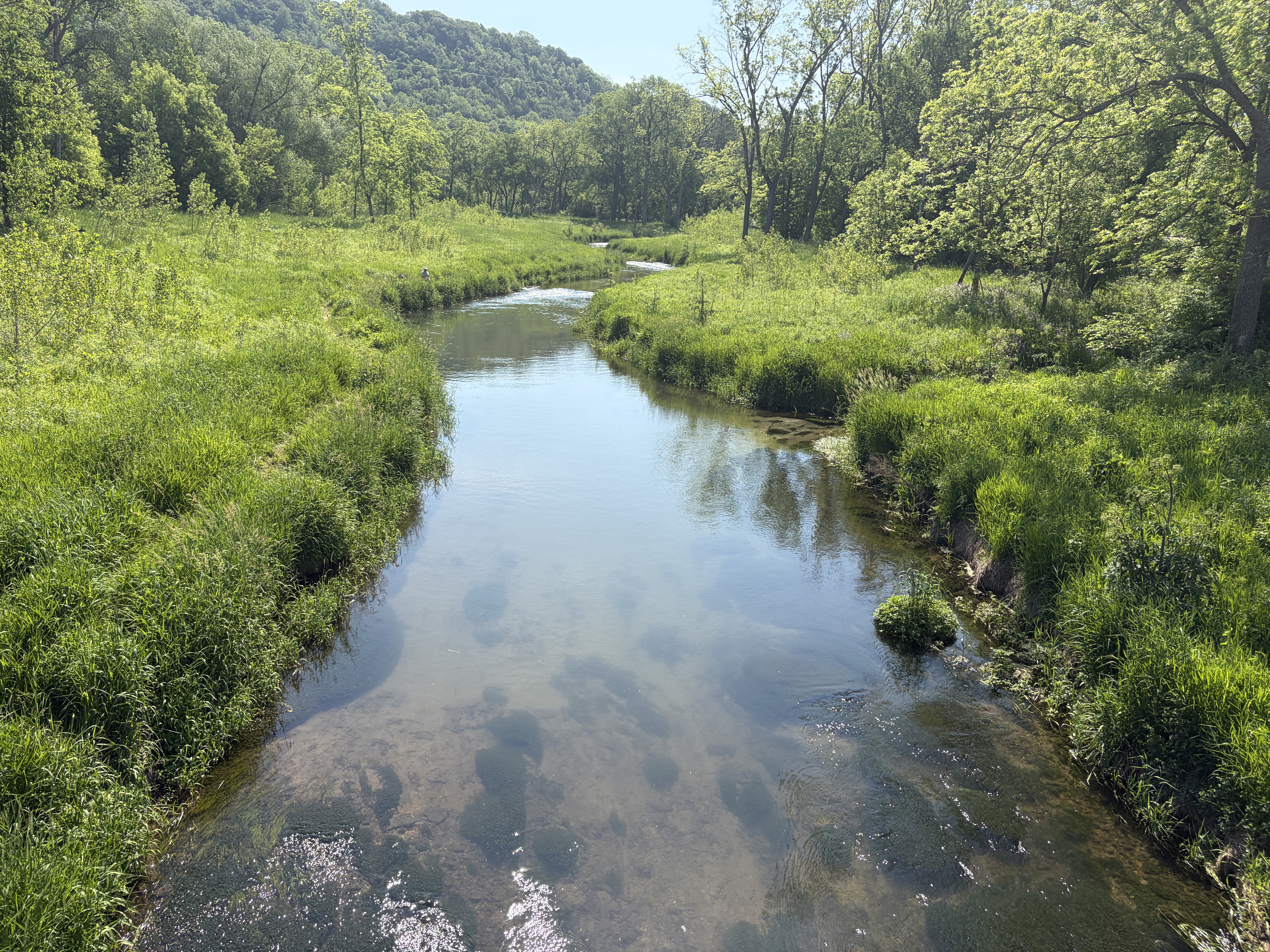 Restored stream habitat at South Branch Whitewater River.