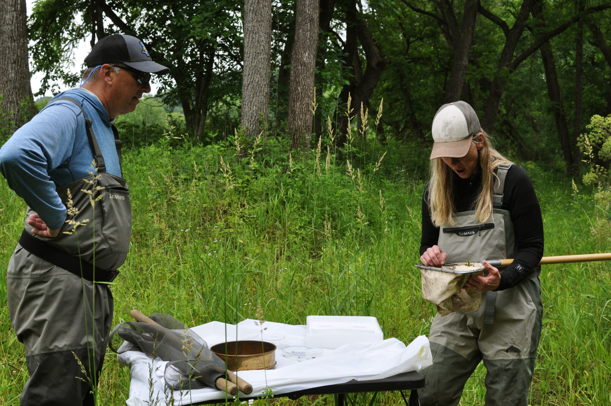 Trout Unlimited staff examine aquatic invertebrate samples.